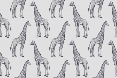 Papier peint à motif  Modèle minimaliste avec des girafes sur fond gris