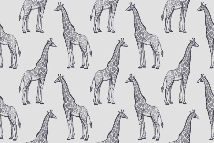 Papier peint à motif  Modèle minimaliste avec des girafes sur fond gris