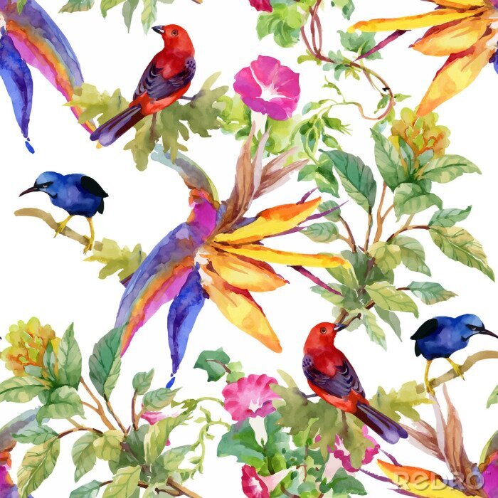 Papier peint à motif  Modèle sans couture aquarelle dessinés à la main avec de belles fleurs et oiseaux colorés sur fond blanc.