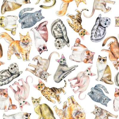 Modèle sans couture avec dix races différentes de chats isolés sur fond blanc. Crayons aquarelle illustration dessinée à la main