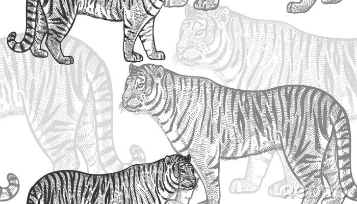 Papier peint à motif  Modèle sans couture avec tigre