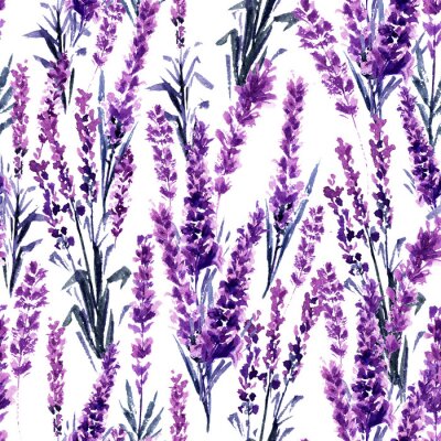 Papier peint à motif  Modèle sans couture de champ de lavande. Aquarelle ou Aquarelle de Lavandula de Provence. Fleur d'herbes de thé dessiné à la main. Fleur d'été ou feuillage d'une plante de jardin en aquarelle. Nature 