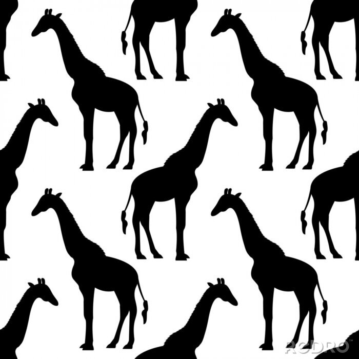 Papier peint à motif  Modèle sans couture de girafes noir et blanc minimaliste