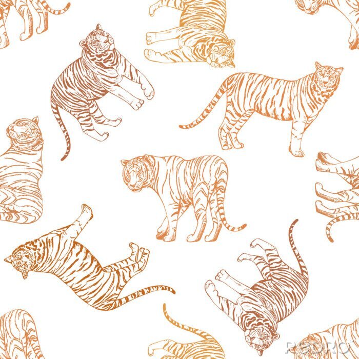 Papier peint à motif  Modèle sans couture de tigres de style croquis dessinés à la main. Illustration vectorielle isolée sur fond blanc