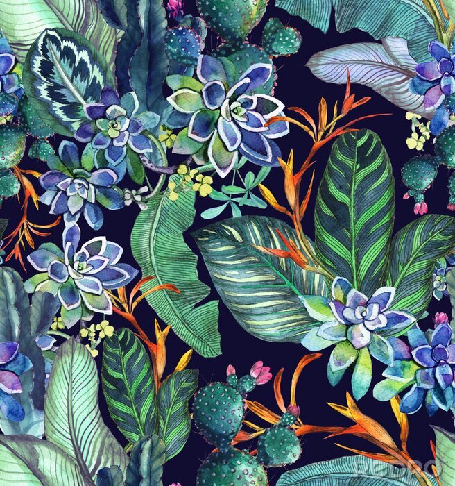 Papier peint à motif  Modèle sans couture tropical avec des plantes succulentes, des feuilles tropicales. Fond botanique