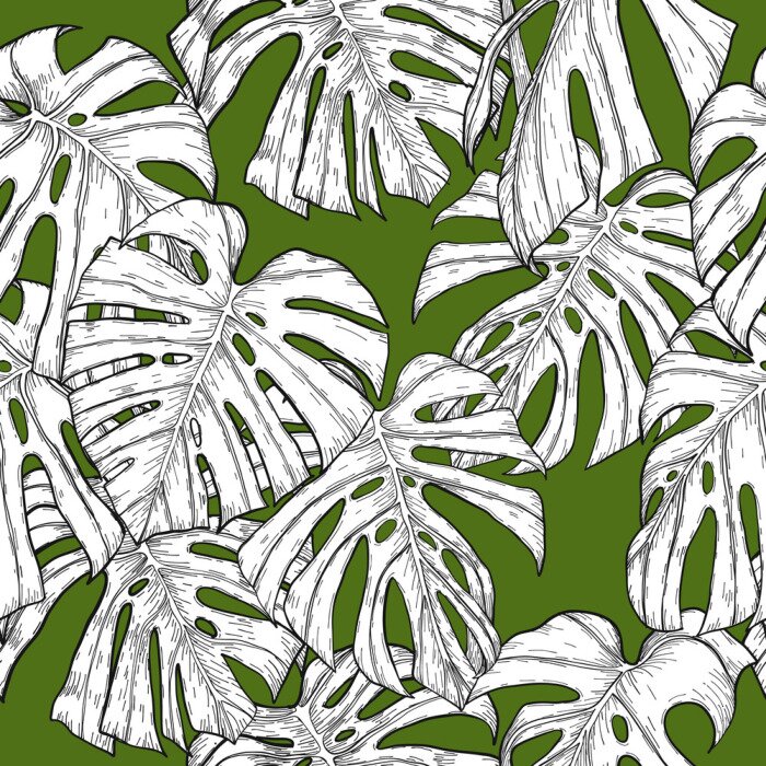 Papier peint à motif  Monstera modèle à la main dessin.Monstera vecteur transparente sur fond vintage.Vector laisse l'art très détaillée dans le style de ligne art.Monstera est plante de tropical.Leaf pour la peinture à mo