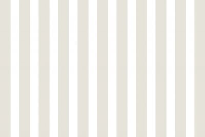 Papier peint à motif  Motif à rayures verticales grises