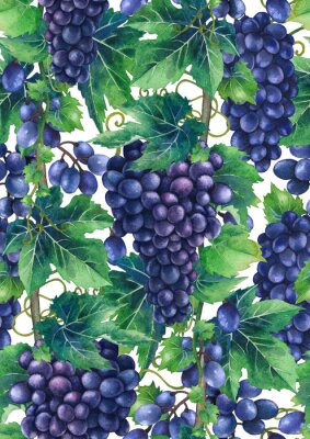 Papier peint à motif  Motif aquarelle de grappes de raisins bleus