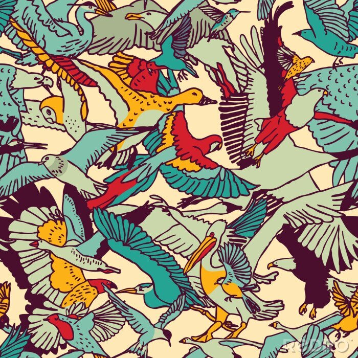 Papier peint à motif  Motif avec des oiseaux colorés