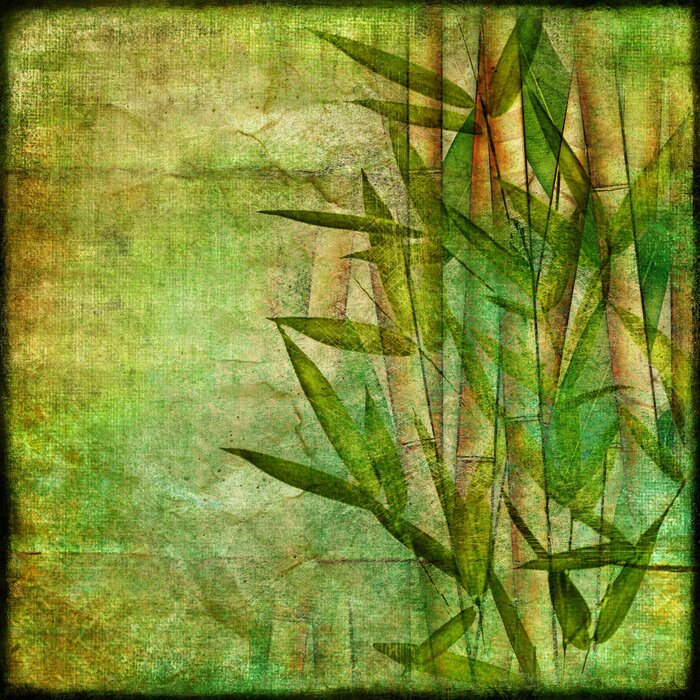 Papier peint à motif  Motif bambou vintage