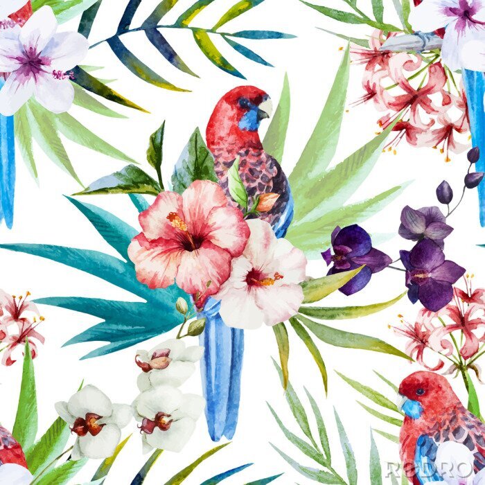 Papier peint à motif  Motif de l'oiseau Rosella