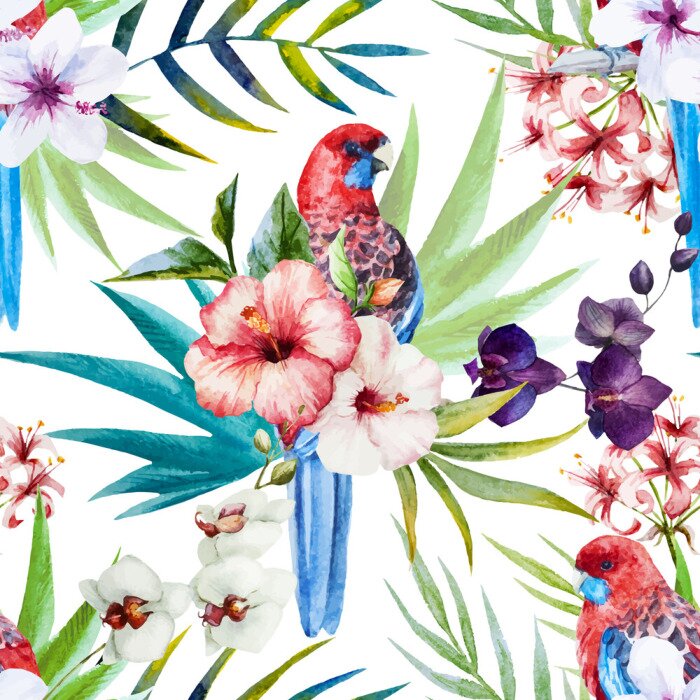 Papier peint à motif  Motif de l'oiseau Rosella