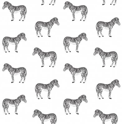 Papier peint à motif  Motif de zèbre noir et blanc sur fond blanc