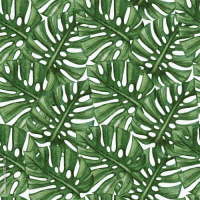 Papier peint à motif  Motif feuilles de monstera vert foncé