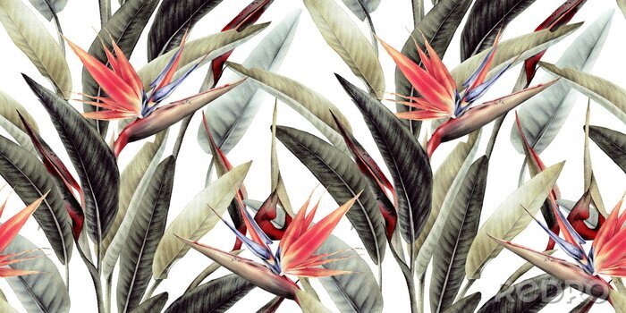 Papier peint à motif  Motif floral avec des feuilles tropicales et des fleurs de strelitzia sur fond blanc