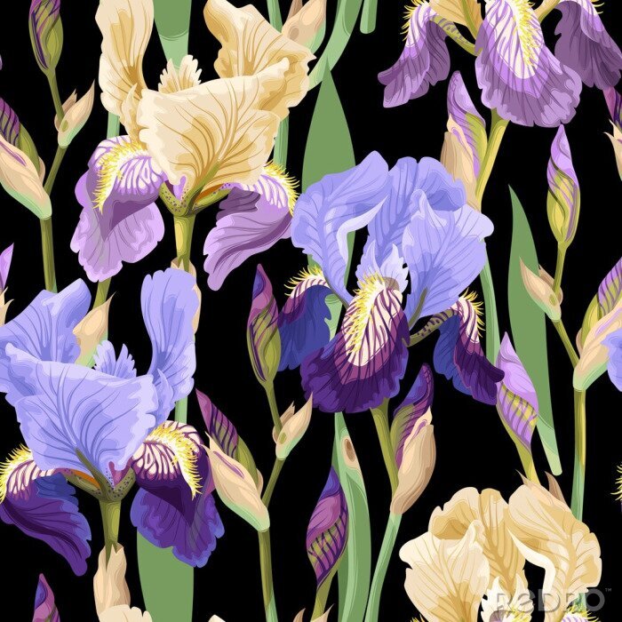 Papier peint à motif  Motif floral avec fleurs d'iris