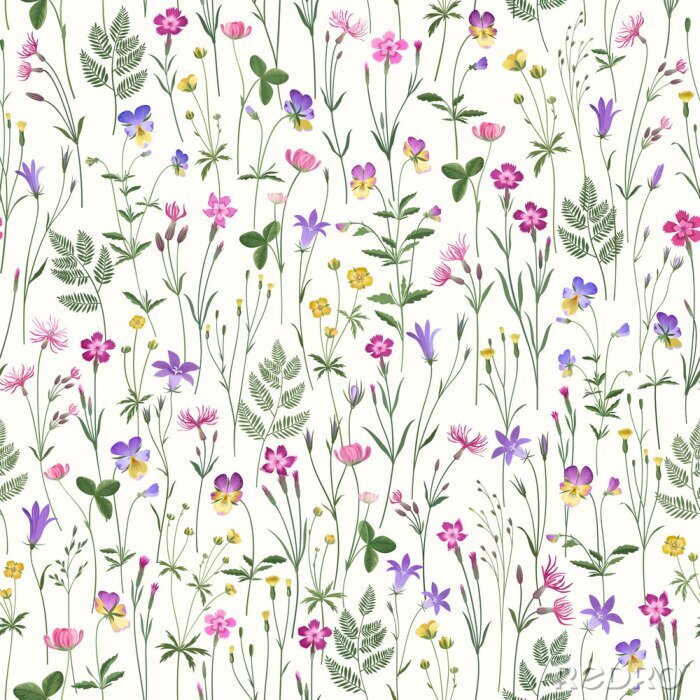Papier peint à motif  motif floral sans soudure décoratif avec des fleurs de la Prairie