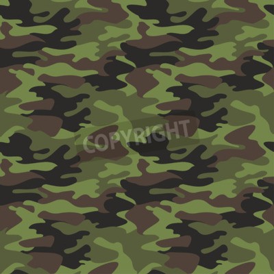 Papier peint à motif  Motif moro vert pour jeunes