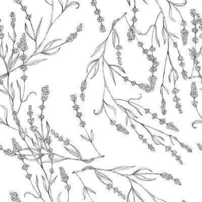 Papier peint à motif  Motif noir et blanc avec des brins de lavande