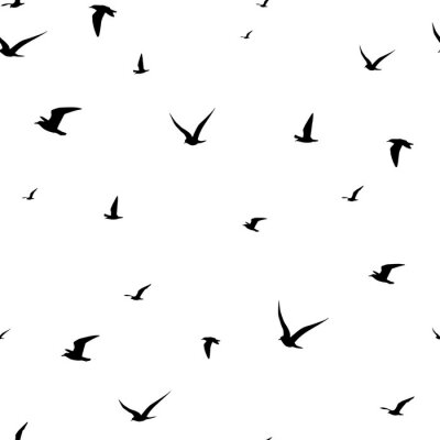 Papier peint à motif  Motif noir et blanc avec des oiseaux en vol