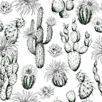 Papier peint à motif  Motif noir et blanc de cactus en fleurs