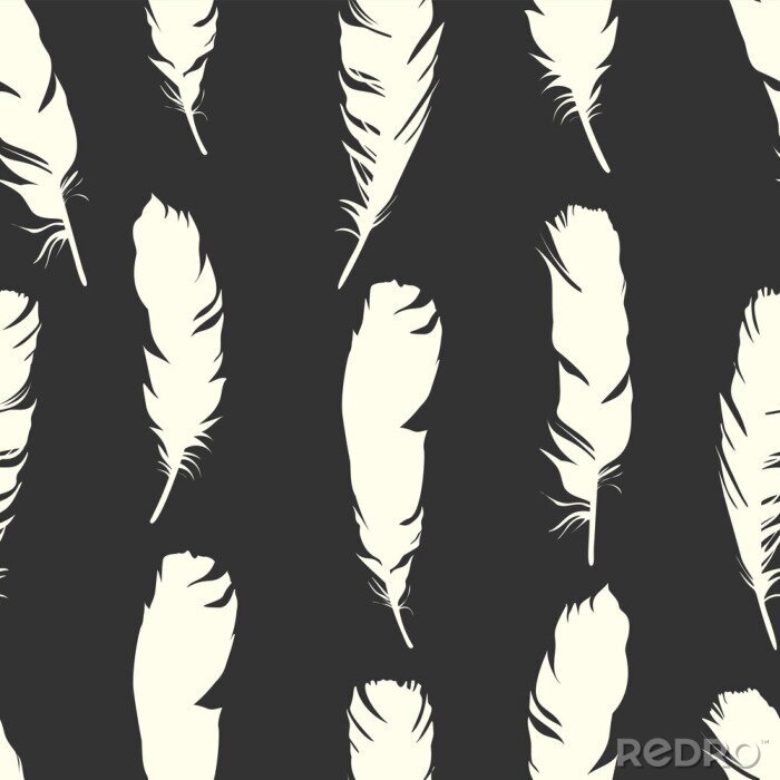 Papier peint à motif  Motif noir et blanc en plumes d'oiseau