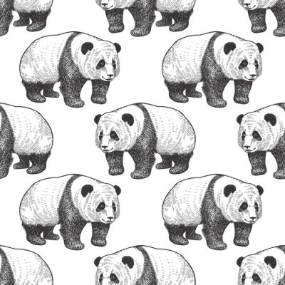 Papier peint à motif  Motif panda noir et blanc