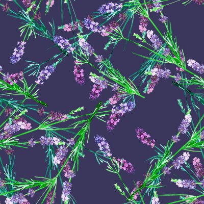 Papier peint à motif  Motif sans couture de lavande