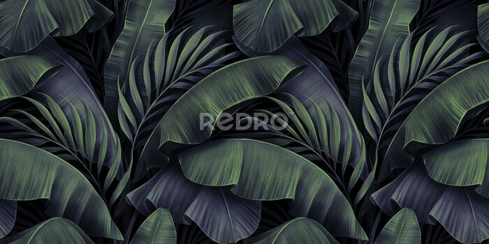 Papier peint à motif  Motif tropical exotique avec des feuilles de palmier et de bananier