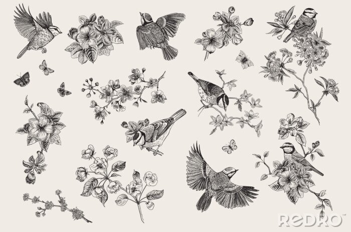 Papier peint à motif  Motif vintage avec des oiseaux au milieu de fleurs délicates