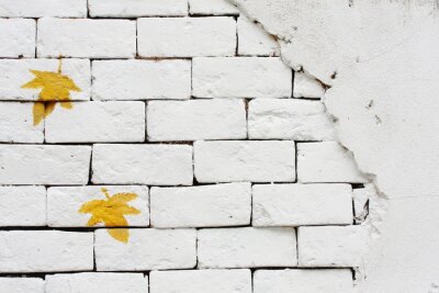 Mur blanc feuilles jaunes