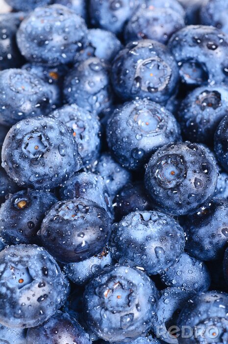Papier peint à motif  Myrtilles recouvertes de gouttes d'eau
