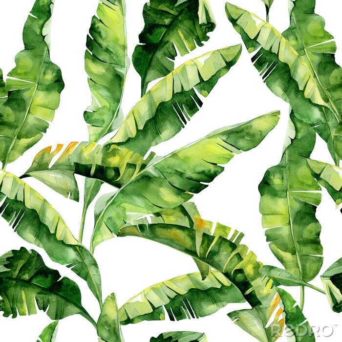 Papier peint à motif  Nature et design avec des feuilles