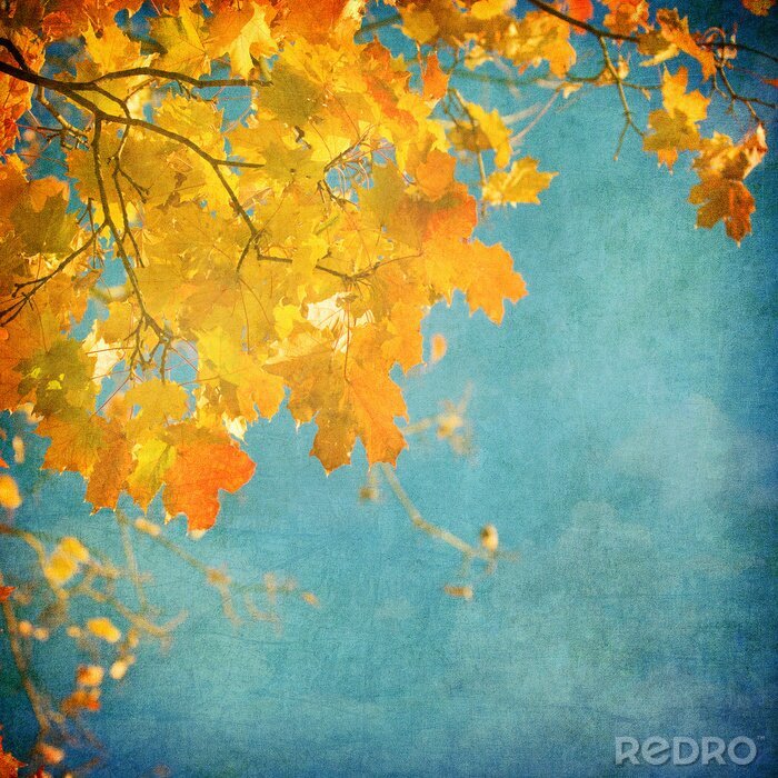 Papier peint à motif  Nature et feuilles