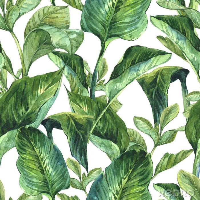 Papier peint à motif  Nature et feuilles vertes tropicales