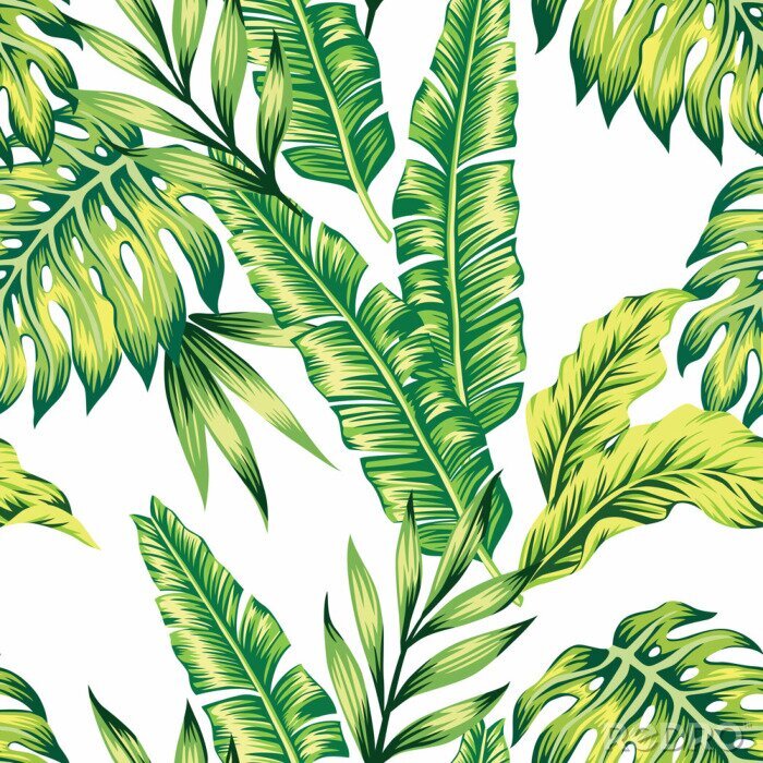 Papier peint à motif  Nature juteuse de la végétation tropicale
