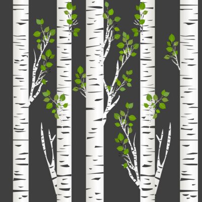 Papier peint à motif  Nuit noire dans les bouleaux