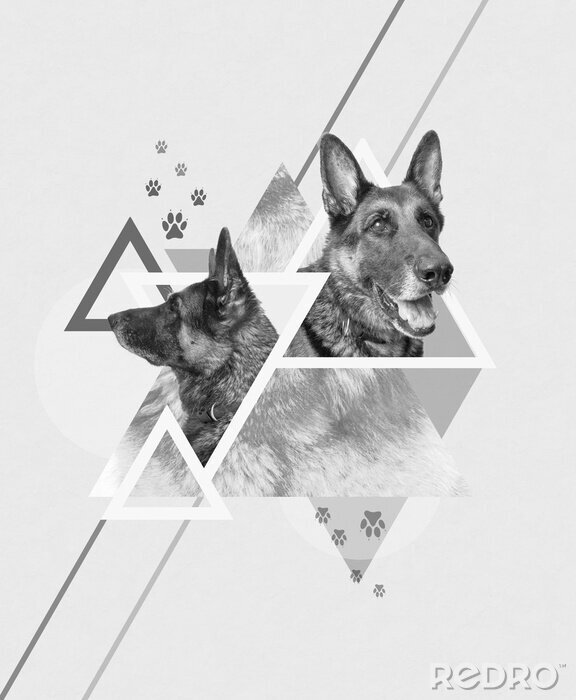 Papier peint à motif  Oeuvre de berger allemand