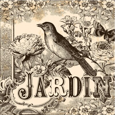 Oiseau et fleurs en illustration vintage