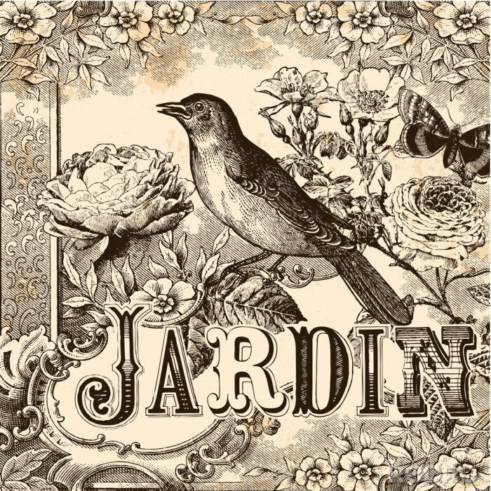 Papier peint à motif  Oiseau et fleurs en illustration vintage
