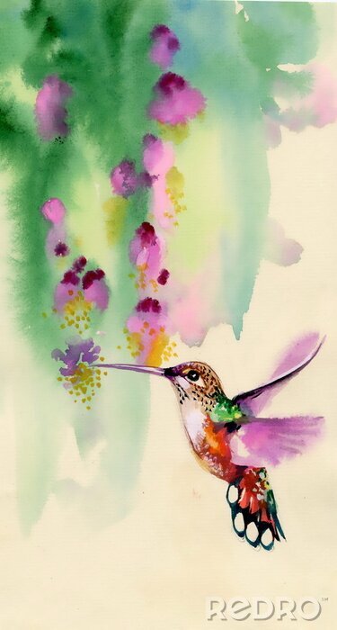 Papier peint à motif  Oiseau près de fleurs version aquarelle