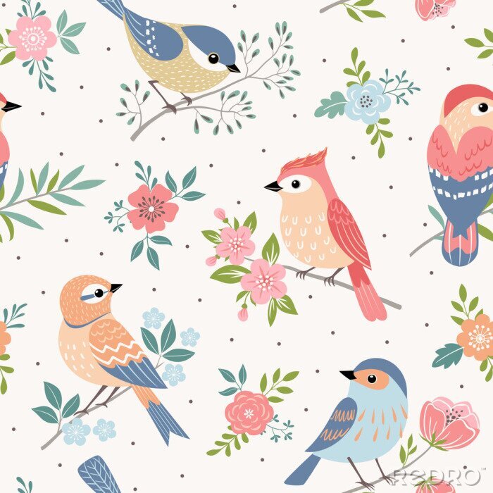 Papier peint à motif  Oiseaux colorés fleurs et pois