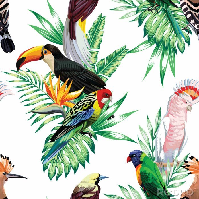 Papier peint à motif  Oiseaux et animaux africains en 3D