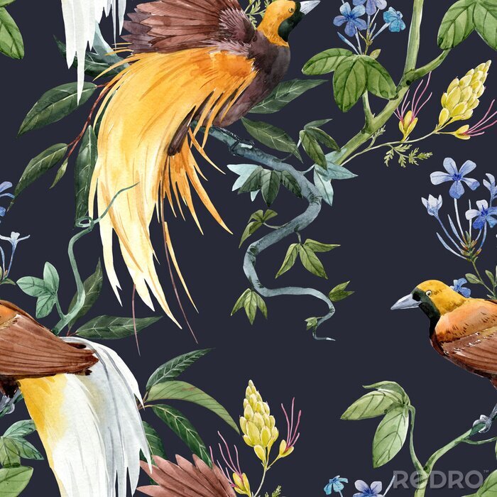 Papier peint à motif  Oiseaux et plantes tropicales