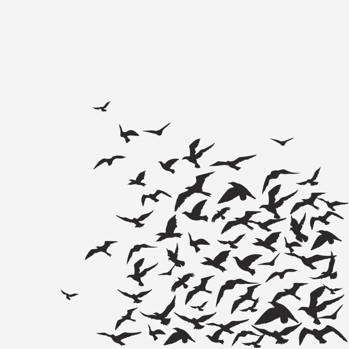 Papier peint à motif  oiseaux fond