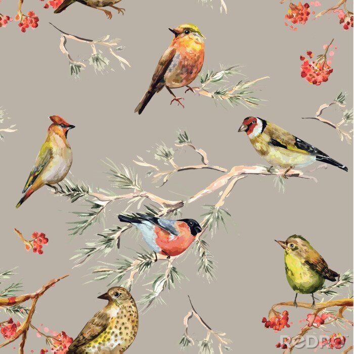 Papier peint à motif  Oiseaux forestiers et rowan
