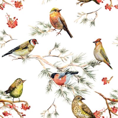 Papier peint à motif  Oiseaux forestiers et sorbier rouge