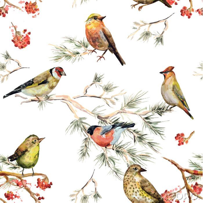 Papier peint à motif  Oiseaux forestiers et sorbier rouge