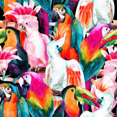 Papier peint à motif  Oiseaux perroquets colorés exotiques