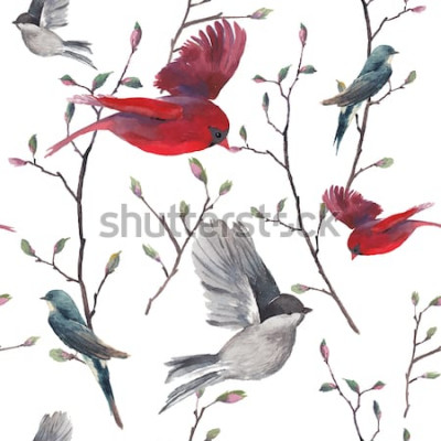 Papier peint à motif  Oiseaux rouges et gris